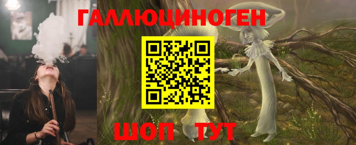 Галлюциногенные грибы прущие грибы Городец