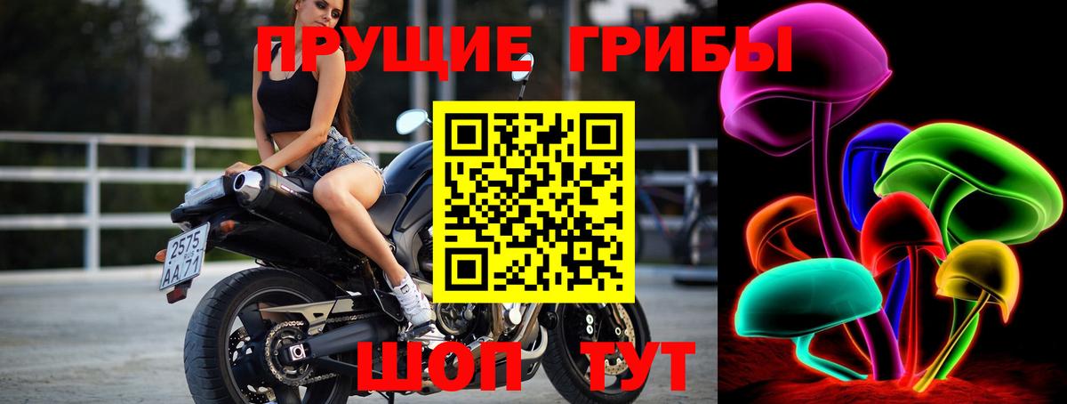 Галлюциногенные грибы мухоморы  продажа наркотиков  Городец  Вход с VPN 
